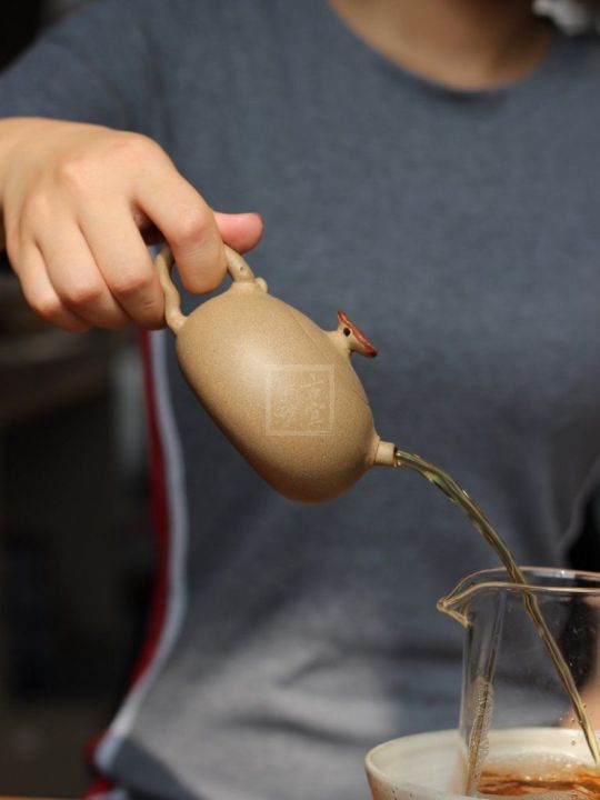 《老樹(shù)靈芝》 《老樹(shù)靈芝》