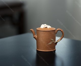 竹節(jié)石 竹節(jié)石